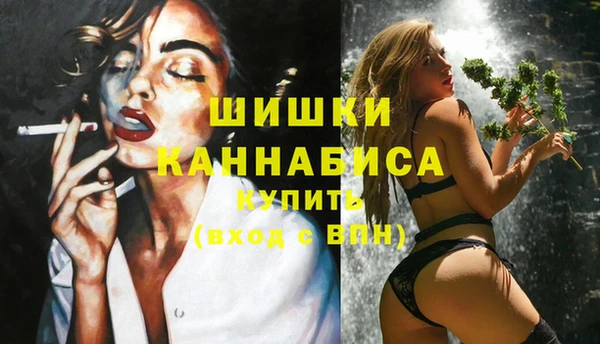 сатива Кодинск