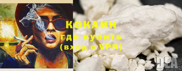 сатива Кодинск