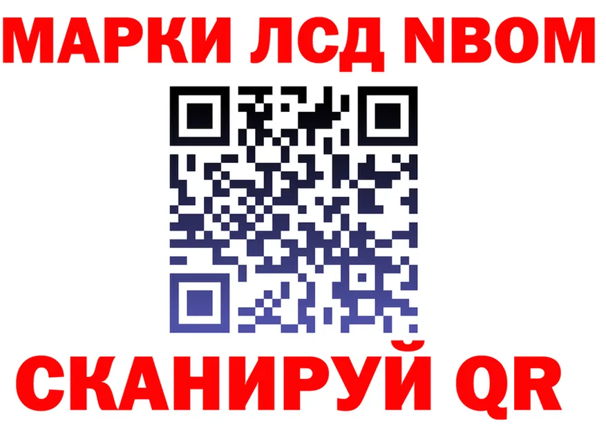 Alfa_PVP СК КРИС ТОР площадка гидра Сельцо